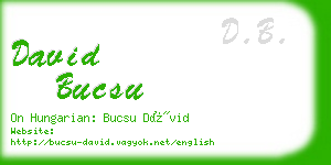 david bucsu business card